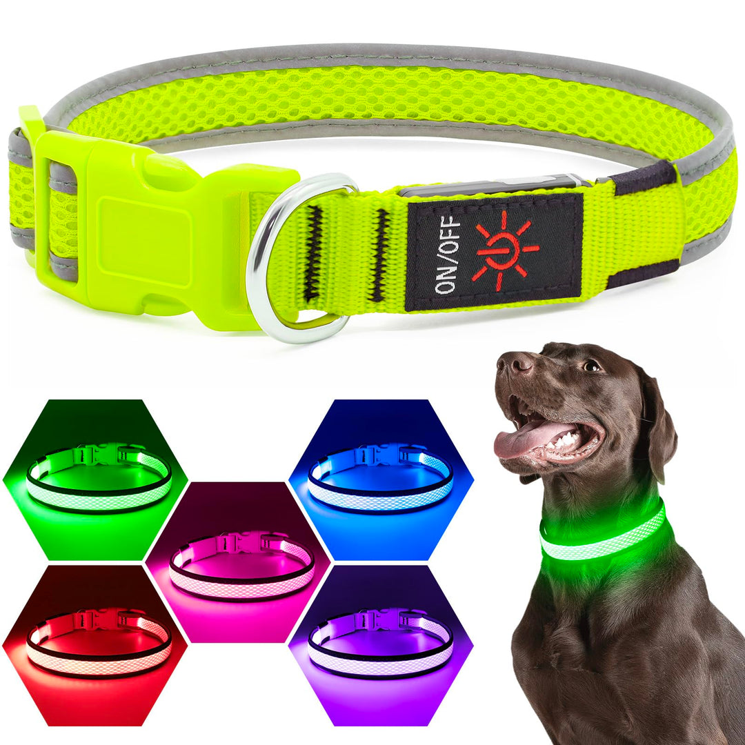 led-dog-collar